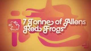 Red Frogs Schoolies Promo 2013 [upl. by Assille]