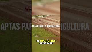 ¡Transformando Desiertos en Tierras Fértiles El Futuro Verde en México shorts desiertosonora [upl. by Bobby]