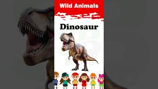 Wild Animals  Shorts  004  Kids  wildanimals kids kidsvideo animals [upl. by Aynom]