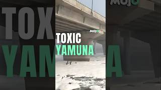 Yamuna Pollution  Thick Toxic Foam Covers Yamuna River In Delhi [upl. by Edson]