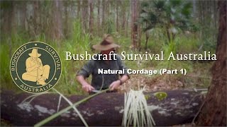 Bushcraft Survival Australia  Natural Cordage Part 1 [upl. by Cates]