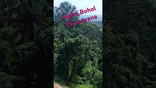 Jagna Bohol view nature travel [upl. by Ahterahs325]