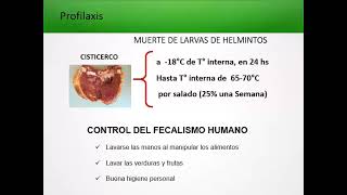 TEÓRICO 12  Infecciones tisulares por cestodes trematodes y nematodes [upl. by Eenerb]