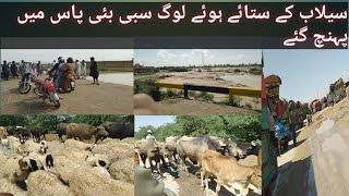 persecuted people Traffic jam on Balochistan sibi bypass سیلاب کے آئے ہوئے مسافر پریشان [upl. by Jarret]