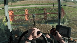 CLAAS Tucano 320  POV harvesting wheat [upl. by Oznohpla]