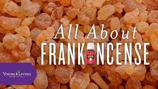 All About Frankincense  Young Living Essential Oils [upl. by Shelley]