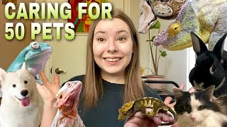 My Morning Pet Care Routine For 50 Pets  Vlog [upl. by Fuhrman]