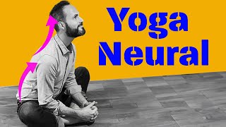 🧘‍♂️ Yoga NEURAL  6 EXERCICES Anti Stress Anti Douleur Travailler sur le Système Nerveux Autonome [upl. by Lativa]