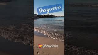 Paguera Majorca  Beach in the morning [upl. by Nyleda]