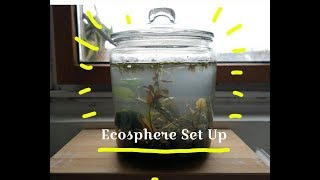 Big Ecosphere Set Up from local lake [upl. by Victorie333]