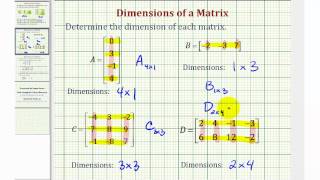 Dimensions of a Matrix [upl. by Adkins]