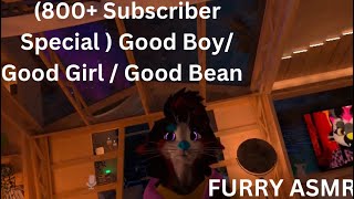 800 Subsriber Special Furry ASMR Good BoyGood GirlGood Bean [upl. by Herwick569]