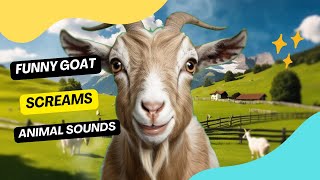 Funny Goat Screams  Sound Effects [upl. by Dymphia744]