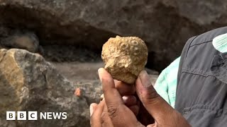 Rare fossils in India reveal secrets of the planet  BBC News [upl. by Emlen29]