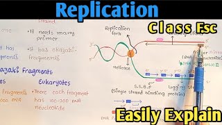 DNA clamp loader and primase [upl. by Verda]