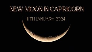 🌑CAPRICORN NEW MOON🌑Love Tarot ReadingAstro Forecast Collective11TH JANUARY [upl. by Eimmac749]