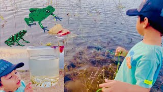 Collecting Tiny Clams to Decorate Jar for Fish Tadpoles and Frog [upl. by Roxie]