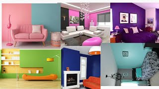 Latest Colour Combinations interior wall colour ideas [upl. by Acimat]