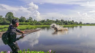 Casting Toman Buas Danau Air Hitam Pedalaman Riau Langsung Dibakar [upl. by Karina466]