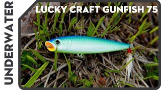 Lucky Craft GunFish 75 [upl. by Fellows282]