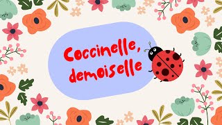 Coccinelle demoiselle [upl. by Nosnehpets]