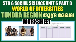 STD6 Social Science Unit 6World OF Diversities Part 3Tundra Climatic RegionKite Victers Worksheet [upl. by Gerger]