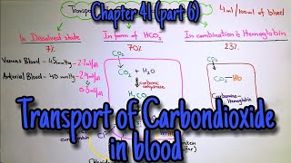 Transport of CO2 in blood Haldane Effect Respiratory exchange ratio Chapter 41 part 6 Guyton [upl. by Llenrap195]