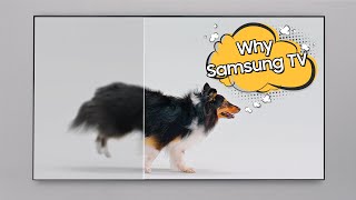 Why Samsung TV Compare and See the Answer [upl. by Adnohsar]