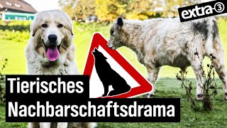 Realer Irrsinn Hausarrest für Herdenschutzhunde in Windeck  extra 3 Spezial Der reale Irrsinn  N [upl. by Mariel]