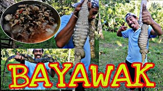 BAYAWAK Catch in a TRADITIONAL TRAP CLEAN AND COOK exoticfood [upl. by Yerdua503]