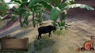 Animalia Survival New Buffalo Playable [upl. by Asirret]