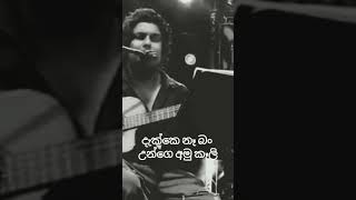 Yakada Manamali යකඩ මනමාලී trending 2024songs sinhalasongs newsong sanjeewlonliyes [upl. by Deedee]