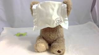 Peekaboo Bear  GUND Talking Teddy Bear Gift [upl. by Laband276]