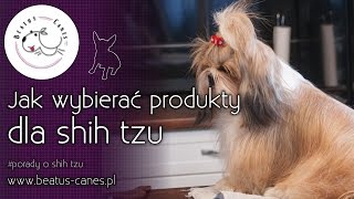 Jak wybierać produkty dla shih tzu [upl. by Gorman927]