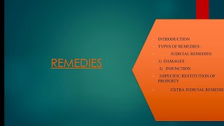 REMEDIES  Law Of Torts  Easiest Explanation with Case Laws [upl. by Nedra]