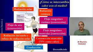 Fisiología de la homeostasis cómo es la regulación de la temperatura corporal en los homeotermos [upl. by Attenyt]