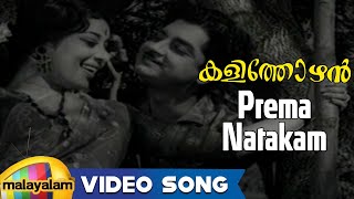 Kalithozhan Movie Songs  Prema Natakam Song  Prem Nazir Sheela [upl. by Idnac]