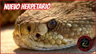 NUEVO HERPETARIO ZOOLÓGICO DE CHAPULTEPEC 🐢🐍🦎🦖 [upl. by Spielman448]