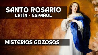 SANTO ROSARIO EN LATIN  ESPAÑOL  MISTERIOS GOZOSOS [upl. by Anaerdna998]