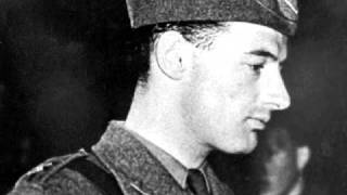 Raoul Wallenberg Tribute [upl. by Siegler]