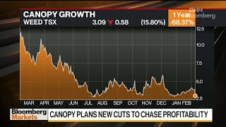 Canopy Growth Cutting 800 Jobs in Canada [upl. by Crystie]