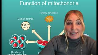 Projekt quotBRAIWORXquot  Epigenetik Coaching mit Carolin Herberg Mitochondrien [upl. by Norak64]