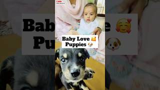 Surprise Puppy Playday 😍 minivlog [upl. by Mellie]