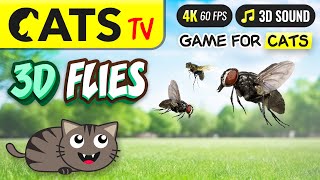 CAT TV  3D Crazy Flies 🙀🪰 Best game for CATS 😻📺 4K [upl. by Hsaniva]