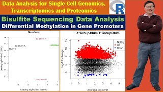 Bisulfite Sequencing Data Analysis Differential Methylation in Gene Promoters [upl. by Warring312]