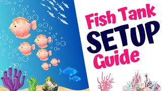 Guide To Setting Up A Tropical Aquarium [upl. by Ternan]