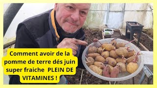 En février au jardin on plante nos pommes de terre nouvelles [upl. by Ahsiakal79]