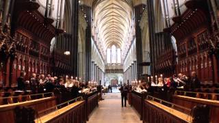 Salisbury Cathedral  Evensong Excerpt [upl. by Phelps]