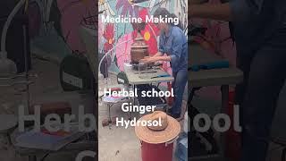 Part two  Distilling a Ginger Hydrosol with Herbalista in Atlanta herbs medicinemaking hydrosol [upl. by Airakaz]