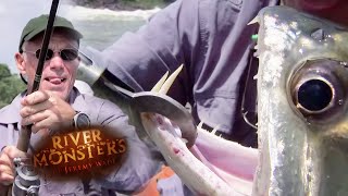 Forgotten Catches Of Season 1  COMPILATION  River Monsters [upl. by Donni]